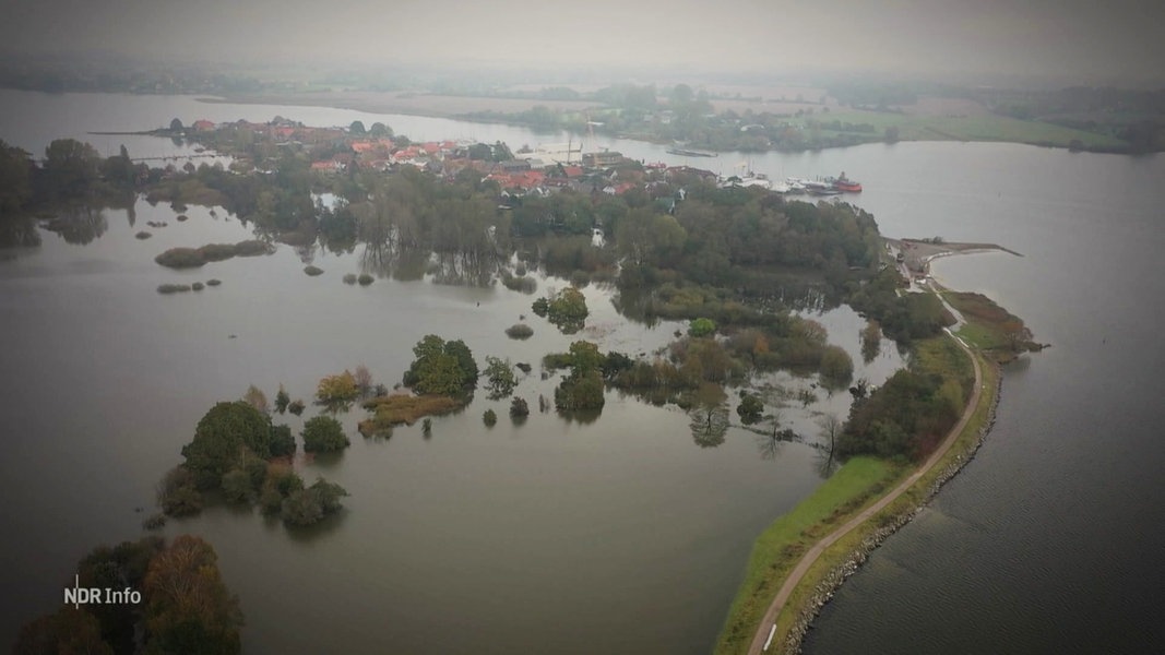 Nach Sturmflut Kauft Land Regionaldeiche Von Verbänden Ab Ndrde Nachrichten Ndr Info