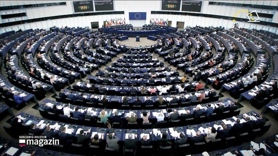 Der Saal des Europaparlaments von oben. © Screenshot 