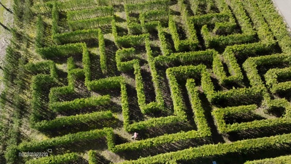 Ein Labyrinth aus Hecken. © Screenshot 