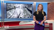 Tina Hermes moderiert Niedersachsen 18:00 Uhr. © Screenshot 