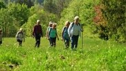 Eine Wandergruppe durchquert eine grüne Wiesenlandschaft. © Screenshot 