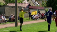 Ein Mann steht in Schiedsrichter-Kleidung auf einem Spielfeld und hält eine gelbe Fahne in der Hand. © Screenshot 