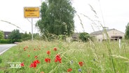 Wildblumen und Gräser im Grünstreifen vor dem Ortsschild Woltersdorf. © Screenshot 