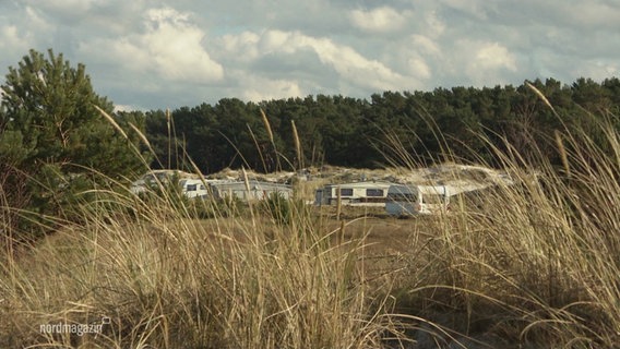 Zwischen einem Waldstück im Hintergrund und Gräsern im Vordergrund stehen mehrer Camping-Anhänger in einer Dünenlandschaft. © Screenshot 