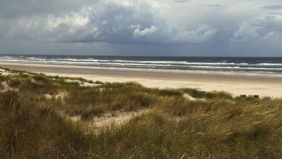 Von Gräsern bewachsene Dünen, dahinter ein heller Sandstrand und die Nordsee unter grauem, bewölktem Himmel. © Screenshot 