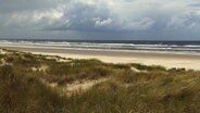 Von Gräsern bewachsene Dünen, dahinter ein heller Sandstrand und die Nordsee unter grauem, bewölktem Himmel. © Screenshot 