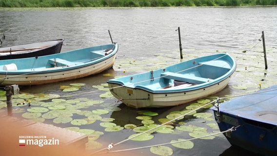Einige hölzerne Ruderboote liegen in einem Gewässer voller Seerosenblätter. © Screenshot 
