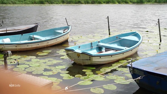 Boote auf dem Niehuuser See. © Screenshot 