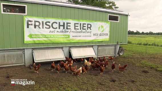 Ein mobiler Hühnerstall, vor dem Hühner picken, daran ein Schild mit der Aufschrift "Frische Eier" © Screenshot 