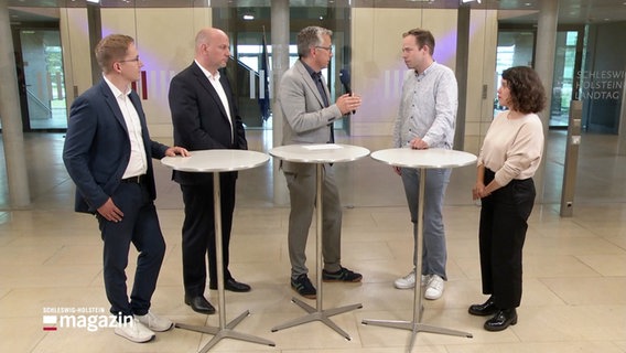 Helmar Krane (FDP), Niklas Herbst (CDU), Rasmus Andresen (Grüne) und Delara Burkhardt (SPD) im Kieler Landeshaus im Gespräch © Screenshot 