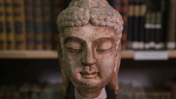 Der steinerne Kopf eines Buddhas, im Hintergrund ist eine Bücherwand zu sehen. © Screenshot 