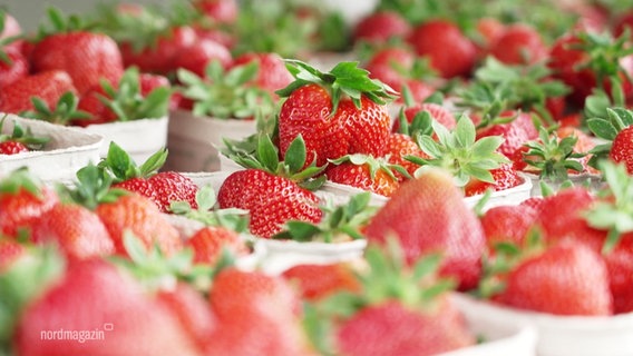 Erdbeeren in kleinen Papp-Behältern. © Screenshot 