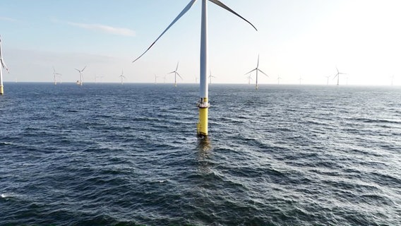 Windpark in der Ostsee von Ørsted © Ørsted 