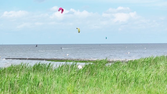 Kitesurfer vor Cuxhaven © Screenshot 