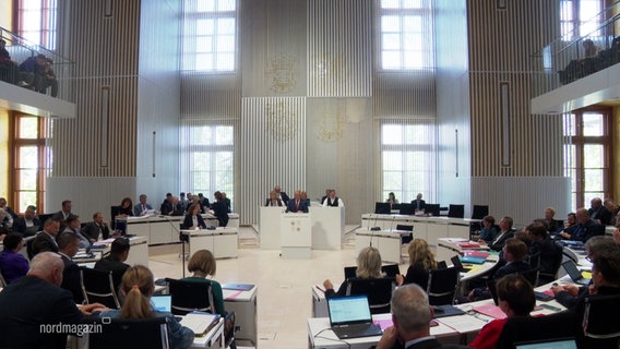 Parteiabgeordnete sitzten bei einer Tagung im Landtag. © Screenshot 