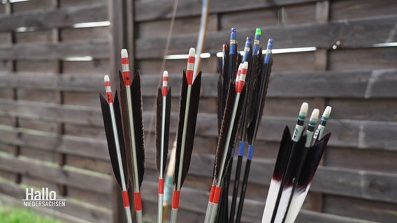 In Einem Köcher vor einem Zaun stecken Bambuspfeile mit schwarzer Befederung und unterschiedlichen Farbmakierungen. © Screenshot 