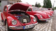 Rote VW-Käfer stehen nebeneinander. © Screenshot 
