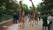 Zwei als Giraffen kostümierte Menschen in Hagenbecks Tierpark © Screenshot 