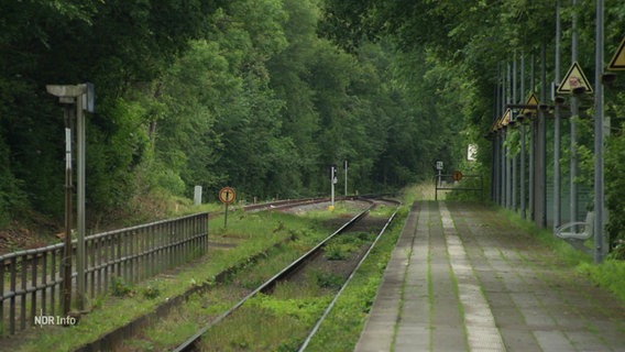 Eine Gleisanlage im Wald, daneben ein kleines Bahnhofsgebäude. © Screenshot 