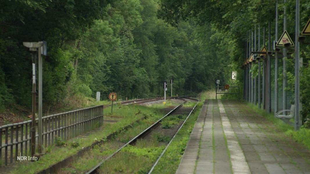 Eine Gleisanlage im Wald, daneben ein kleines Bahnhofsgebäude.