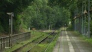 Eine Gleisanlage im Wald, daneben ein kleines Bahnhofsgebäude. © Screenshot 