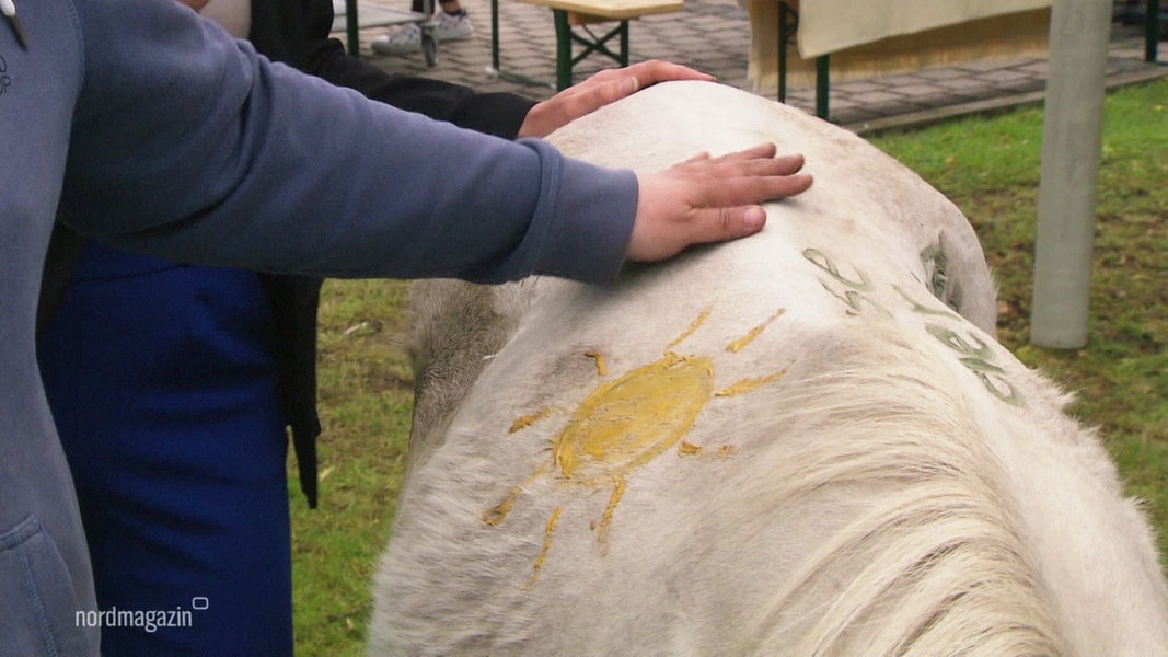 Hände streicheln ein weißes Pony, das mit einer Sonne bemalt ist.