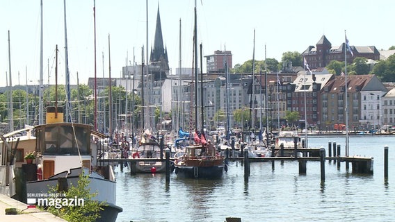 Eine Stadtaufnahme von Flensburg. © Screenshot 