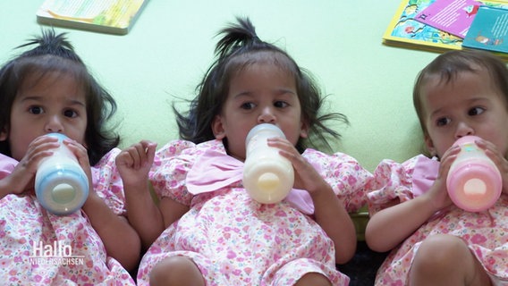 Drei Babys mit einer Nuckelflasche. © Screenshot 