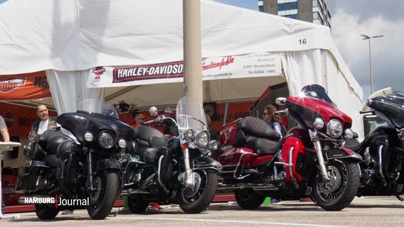 Mehrere schwere Motorräde vom Typ Harley Davidson stehen vor einem Zelt. © Screenshot 