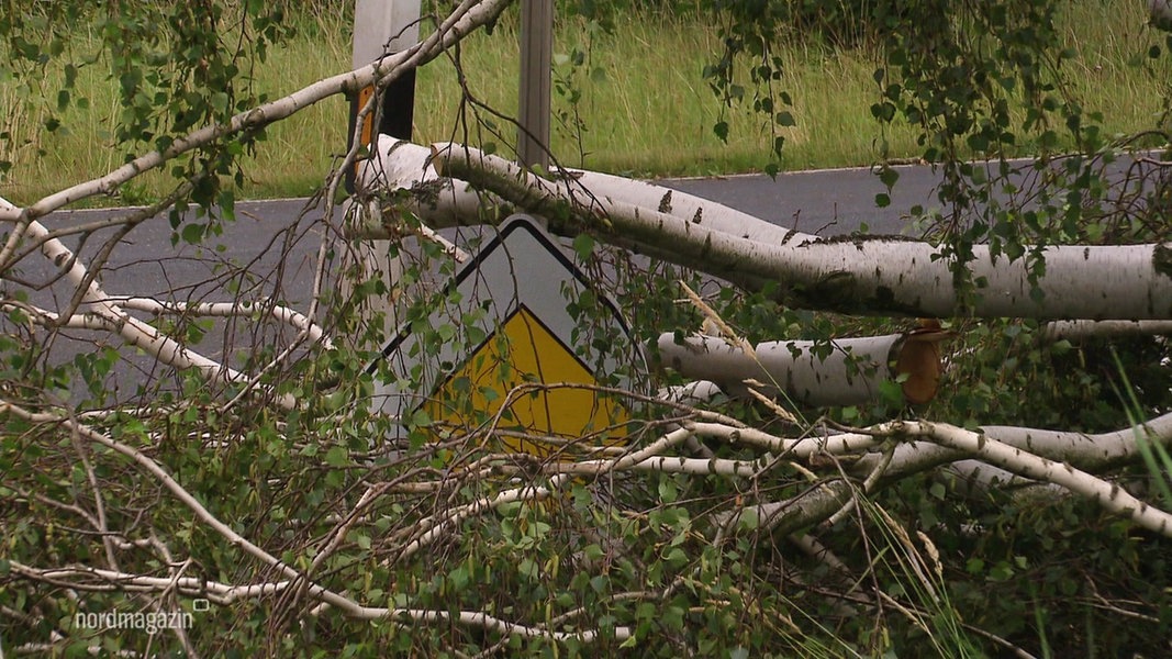 Starkregen und Gewitter über MV - über 100 Feuerwehreinsätze