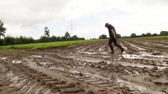 Ein Landwirt läuft über einen schlammigen Grund, auf dem das Wasser steht und sich Spuren von Treckerreifen deutlich abzeichnen. Im Hintergrund ein grünes Kartoffelfeld. © Screenshot 