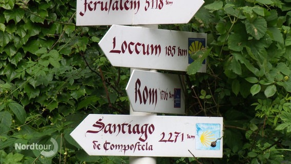 Schilder eines Wegweisers zeigen Richtung und Entfernung von Orten wie Rom und Jerusalem an. © Screenshot 