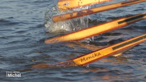 Eine Reihe Holz-Paddel taucht ins Wasser und treibt ein Boot an. © Screenshot 