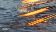 Eine Reihe Holz-Paddel taucht ins Wasser und treibt ein Boot an. © Screenshot 