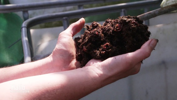 Jemand hält zu Humus kompostierten Pferdemist in den Händen. © Screenshot 