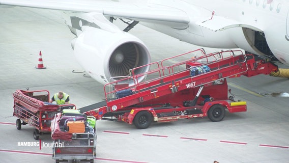 Gepäck wird in ein Flugzeug geladen. © Screenshot 
