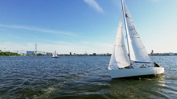 Ein Segelboot auf dem Strelasund vor Stralsund mit Blick auf die Rügenbrücke. © Screenshot 