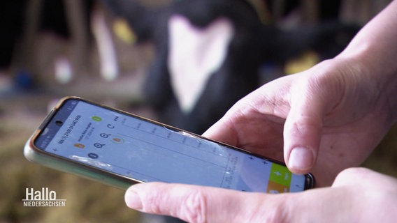 Im Vordergrund eine geöffnete App auf einem Smartphone, im Hintergrund eine Kuh im Stall. © Screenshot 