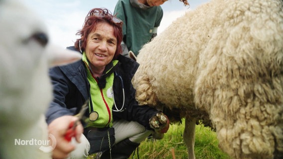 Eine Frau hockt neben einem Schaf auf einer Wiese und behandelt es. © Screenshot 