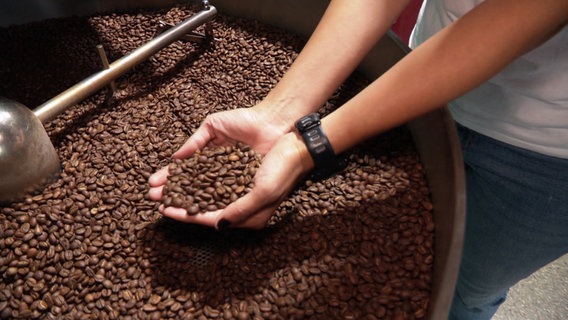 Eine Person hält frisch geröstete Kaffeebohnen in den Händen. © Screenshot 