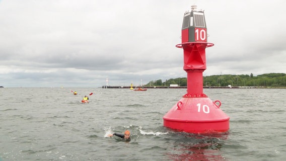 Teilnehmende das Lighthouse Swim 2024 schwimmen in der Kieler Förde. Im Vordergrund ist eine große, rote Boje zu sehen. © Screenshot 