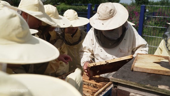 Ein Lehrer und Schüler in Imkeranzügen umstehen einen Bienenstock. © Screenshot 