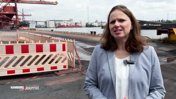 Melanie Leonhard im Gespräch am Hamburger Hafen. © Screenshot 