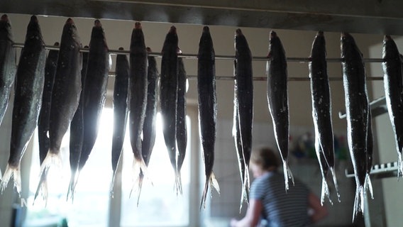 Eine Reihe geräucherter Fische, im Hintergrund Diana Rehbohm, die Chefin der Schaalseefischerei. © Screenshot 