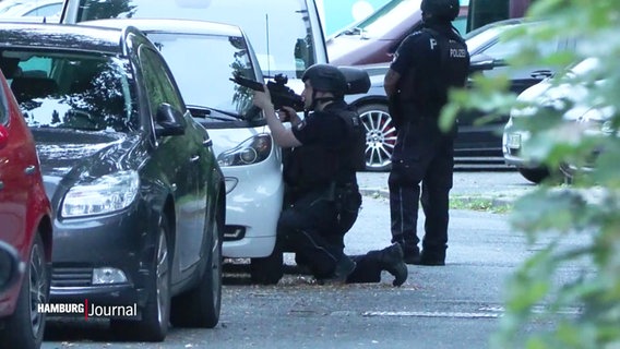 Polizisten in schusssicheren Westen und Helmen sowie Schusswaffen hinter einer Reihe parkender Autos. © Screenshot 