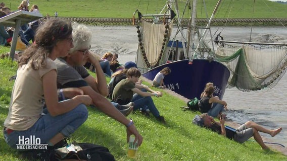 Festivalbesucher sitzen entspannt an einem Deich. © Screenshot 