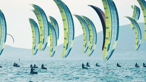 Kite-Surfer © Screenshot 