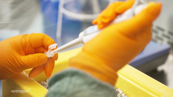 Eine Person mit orange-farbenen Schutzhandschuhen spritzt eine Flüssigkeit in ein kleines Plasik-Fläschchen. © Screenshot 