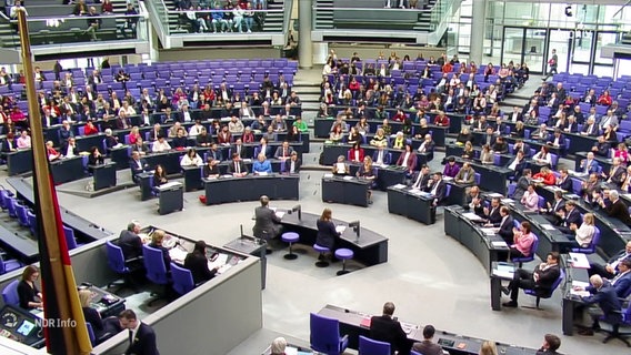 Abgeordnete im Bundestag. © Screenshot 