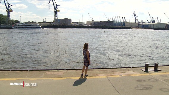 Eine Person steht am Ufer der Elbe. © Screenshot 